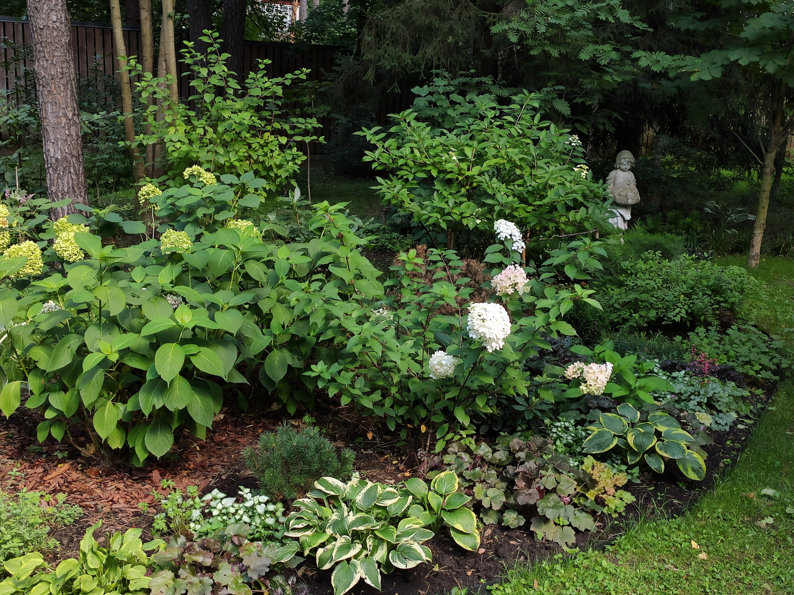 Проект "Форест"