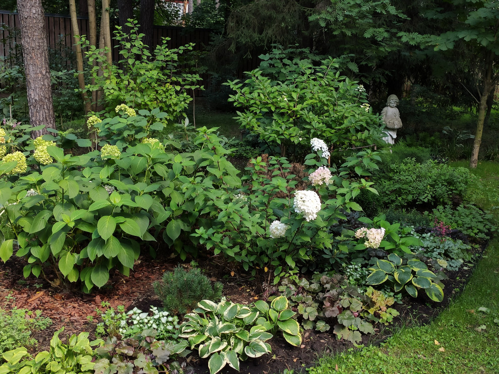 Проект "Форест"