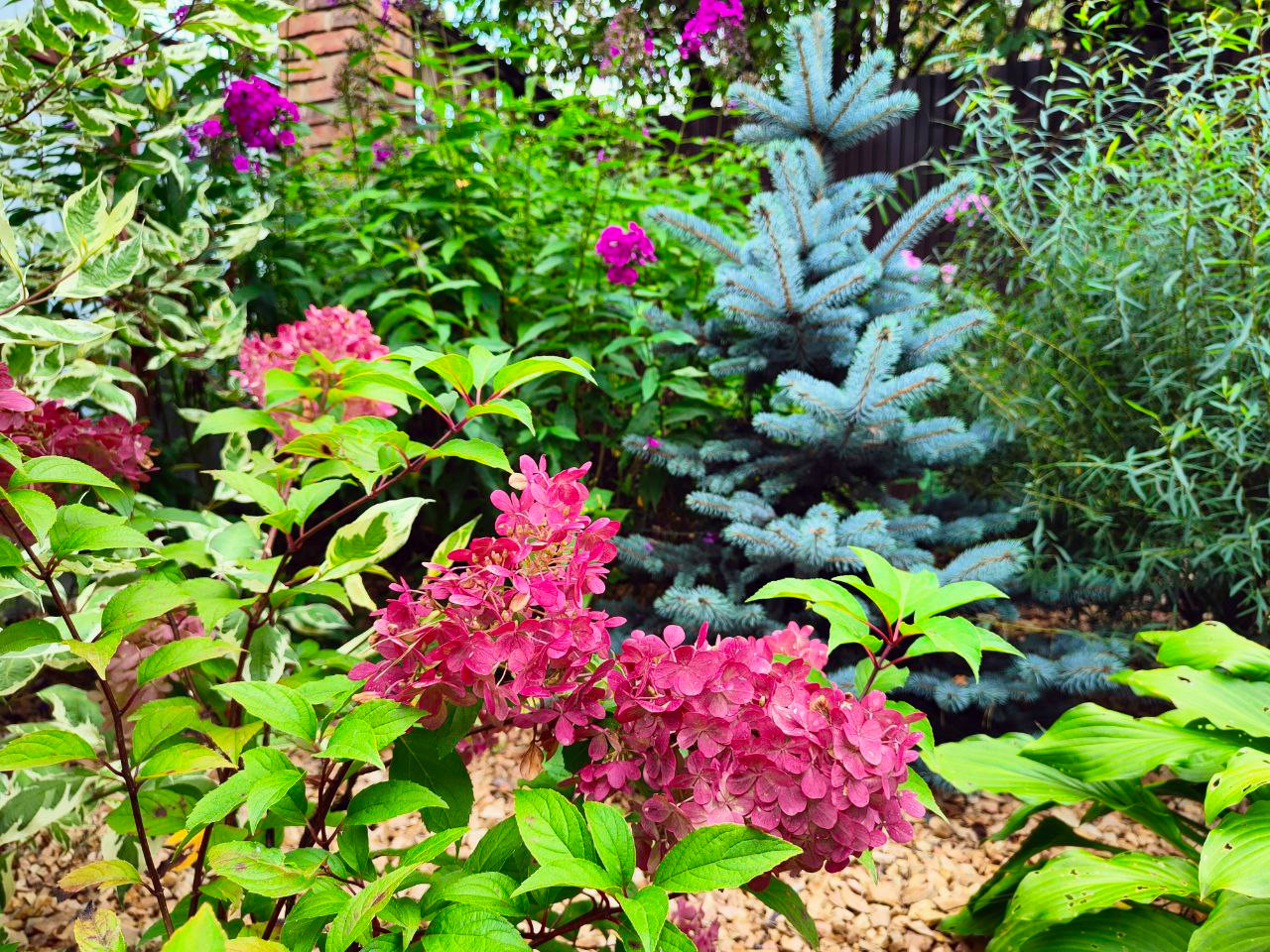 Под сенью леса (п. Удельная)