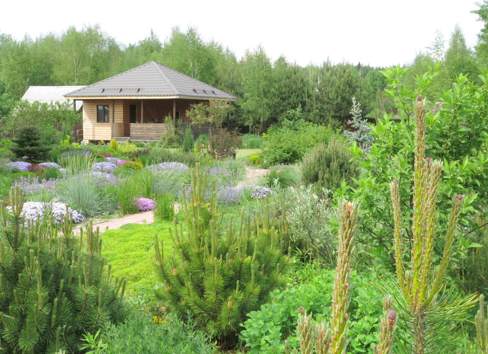 ТЕПЛЫШКО МОЕ. ВЕСНА.