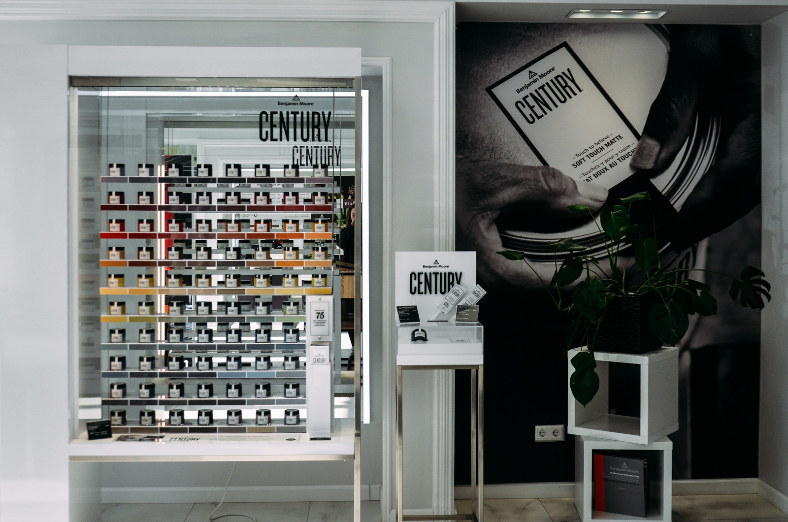 Обложка проекта: Салон Benjamin Moore на Суворовском проспекте (СПб)