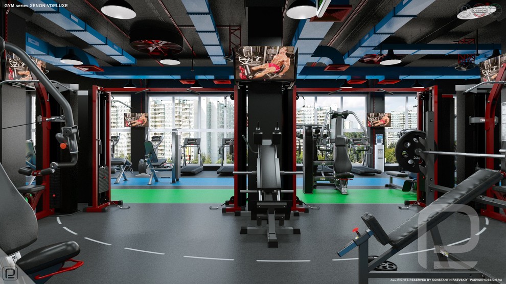 Тренажерный зал GYM series XENON-VDELUXE
