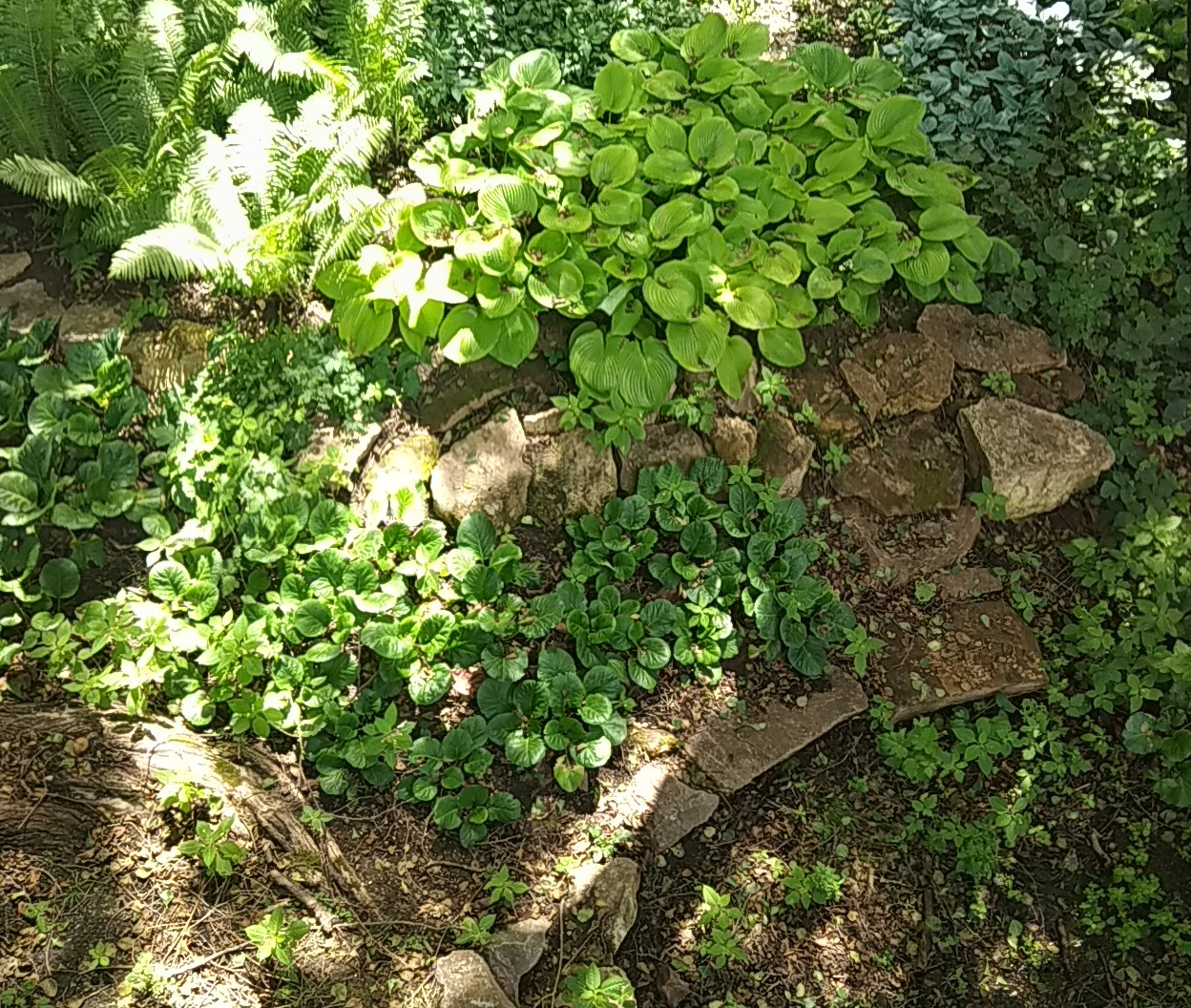 Valley of springs Долина родников