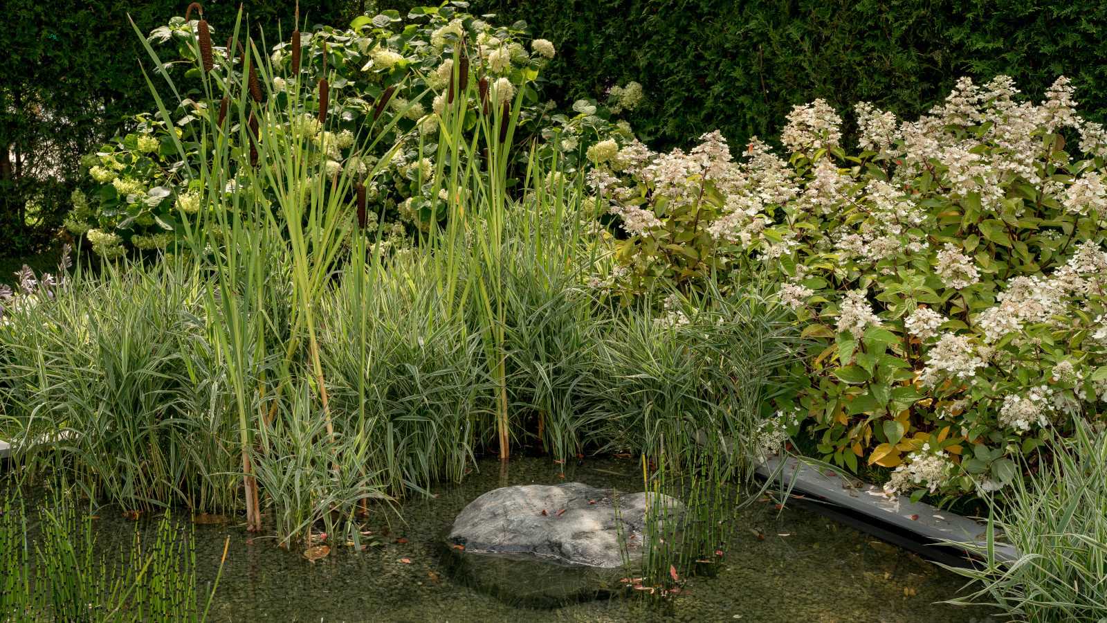 Выставочный сад "Тайны соблазна"