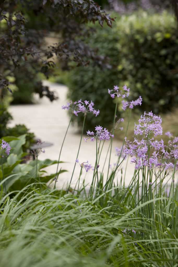 Фото, ландшатный дизайн