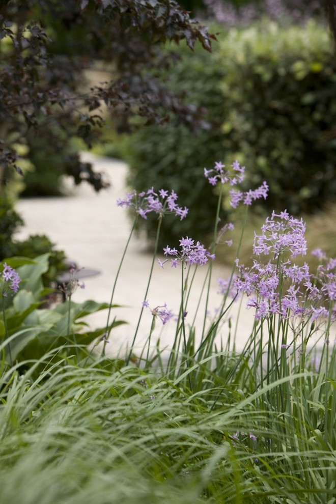 Фото, ландшатный дизайн