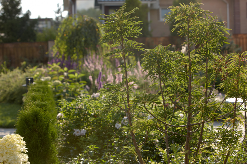 Отражение в каплях росы