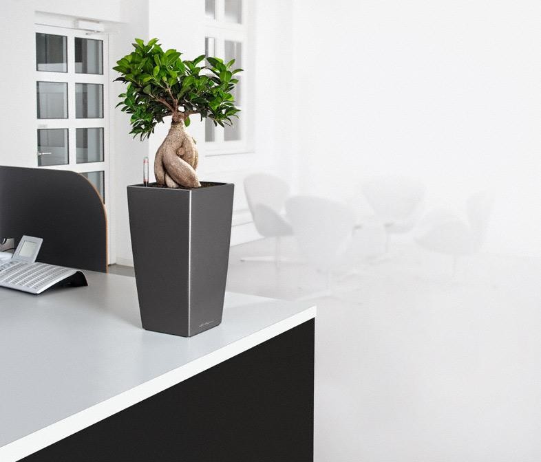 Время для серьезных дел