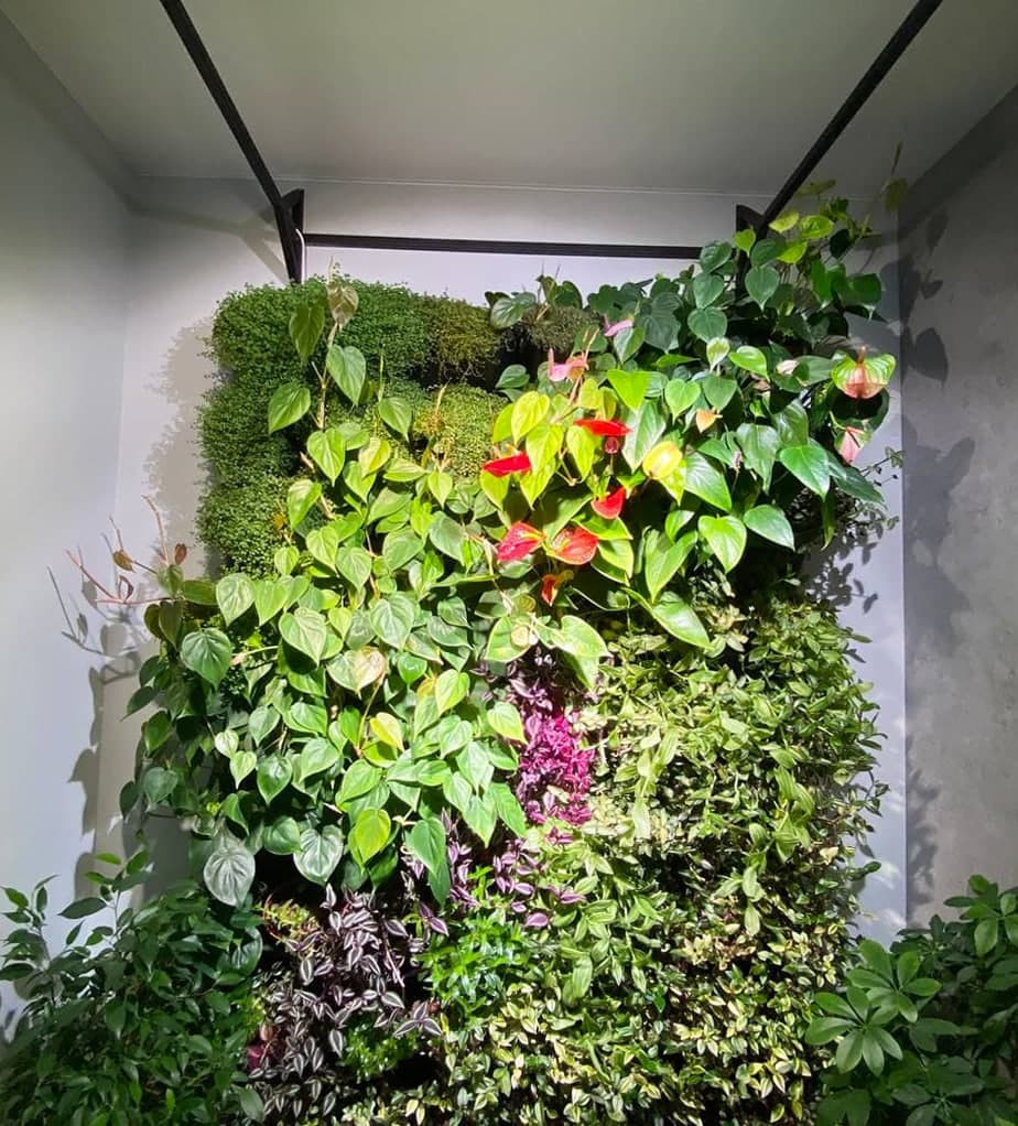 Обложка проекта: Фитостена ТВЕРСКАЯ