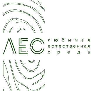 Светлана Шибаева