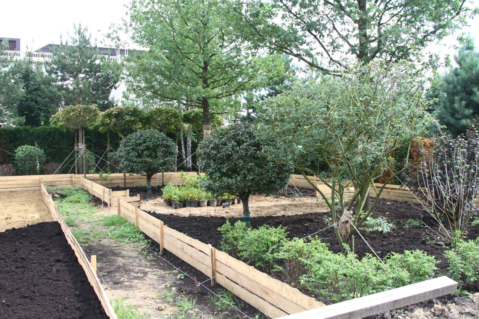 Как правильно: Посадить сад осенью