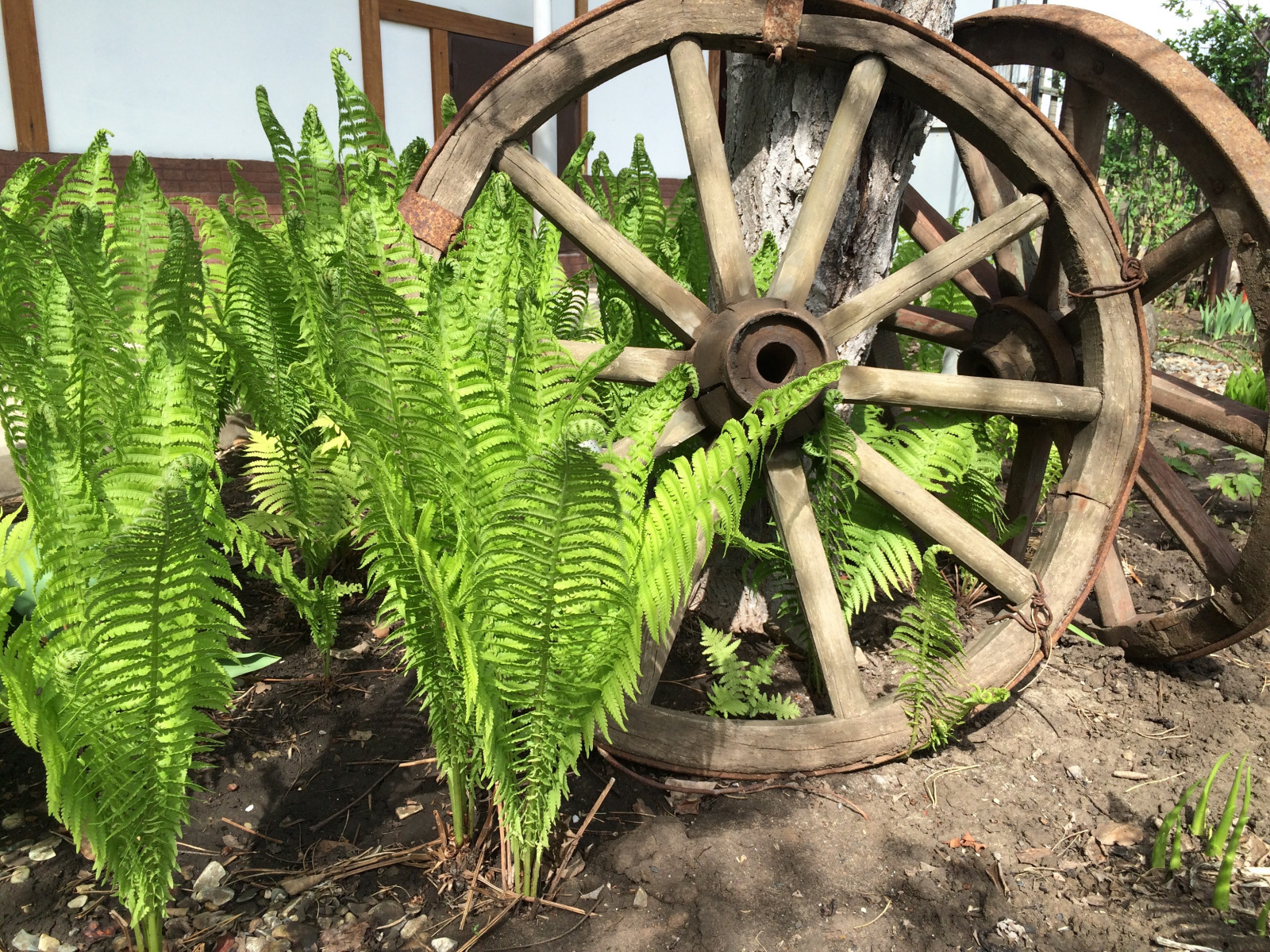 Обложка проекта: Pictures