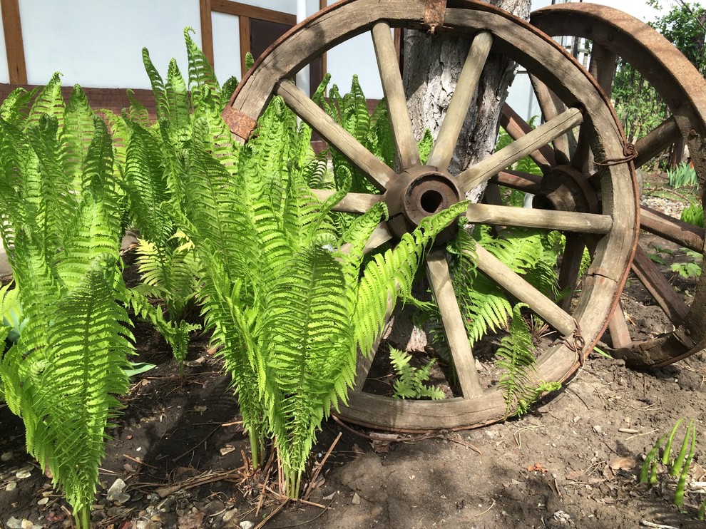 Обложка проекта: Pictures