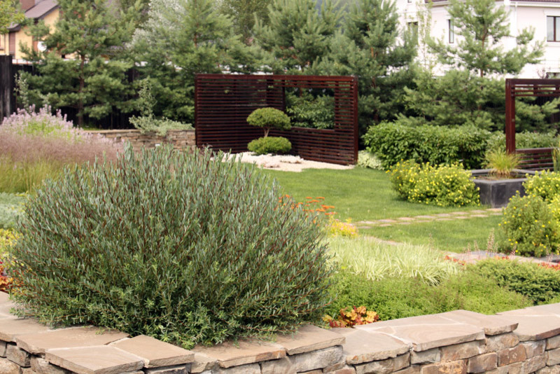 Современный сад