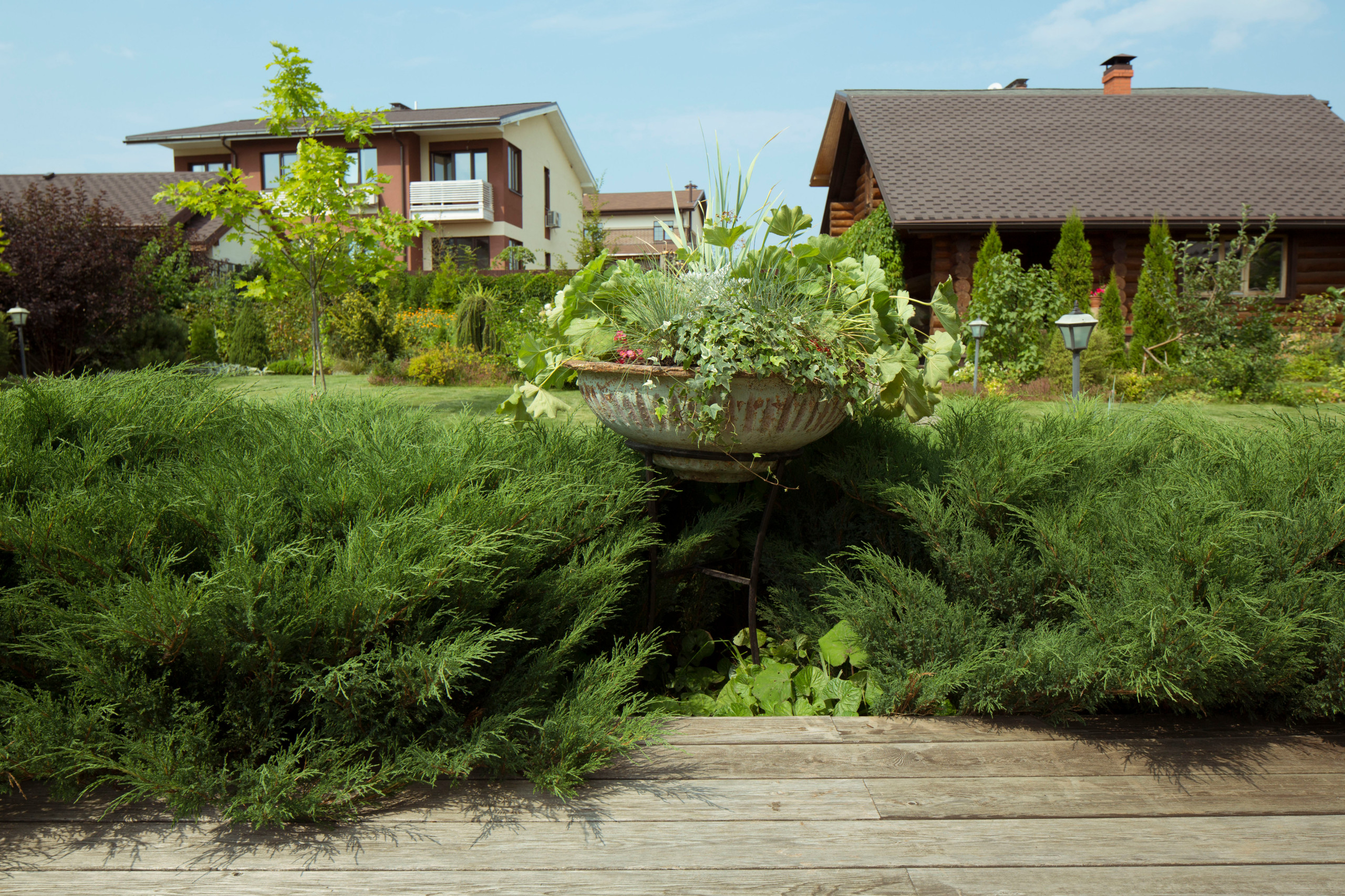 В гостях: Участок с фамильными дубами и баней в срубе