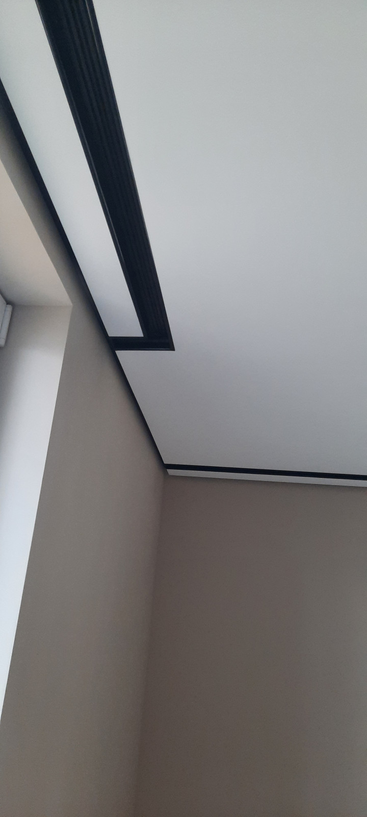 Николай Лаевский