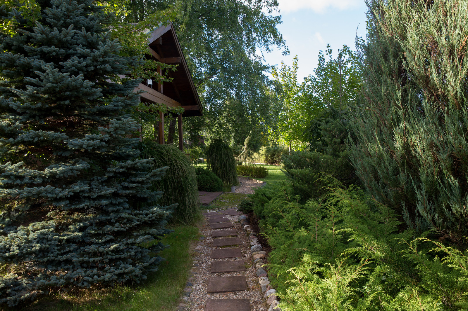 Парк в  Шаховском районе