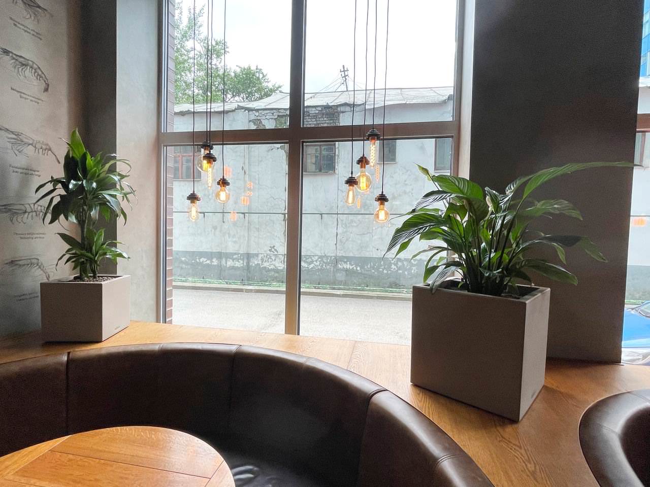 Ресторан Boston Seafood&bar г. Москва