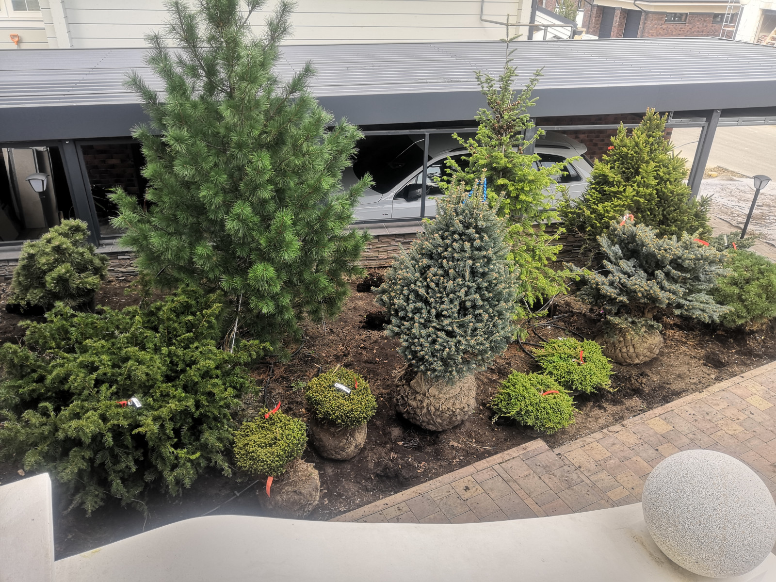 Landscape design of the territory (Moscow region, Sareevo village)