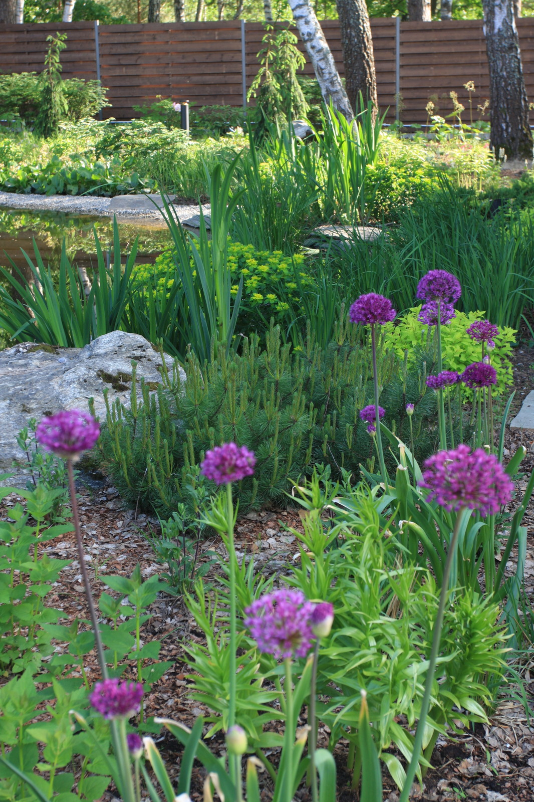 Озеро в лесу. Посёлок Приволье.