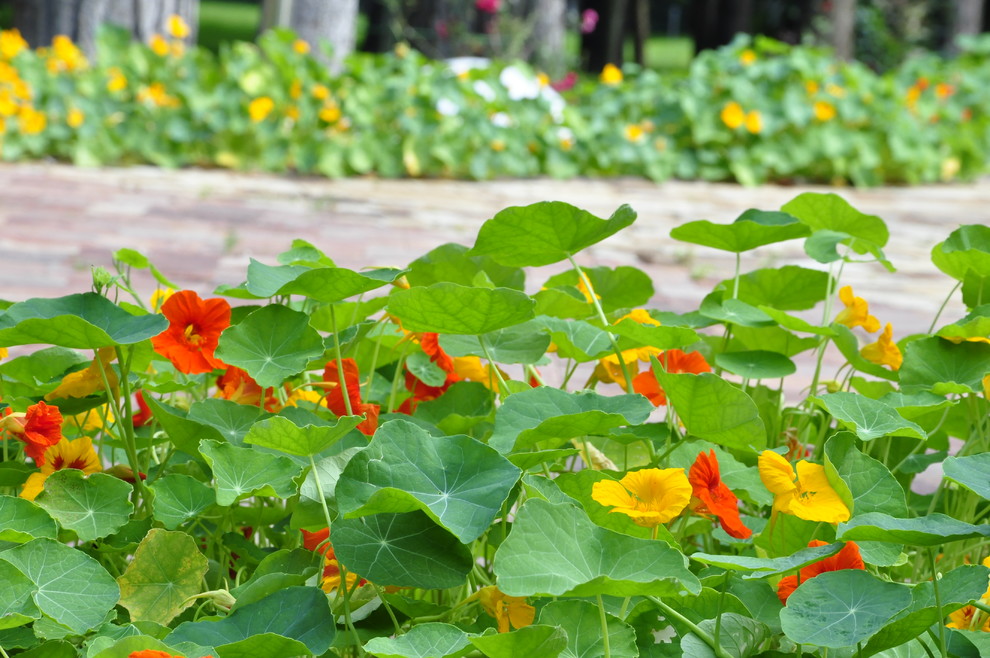 кп "Успенские дачи" - Уход за садом - 100% качество!