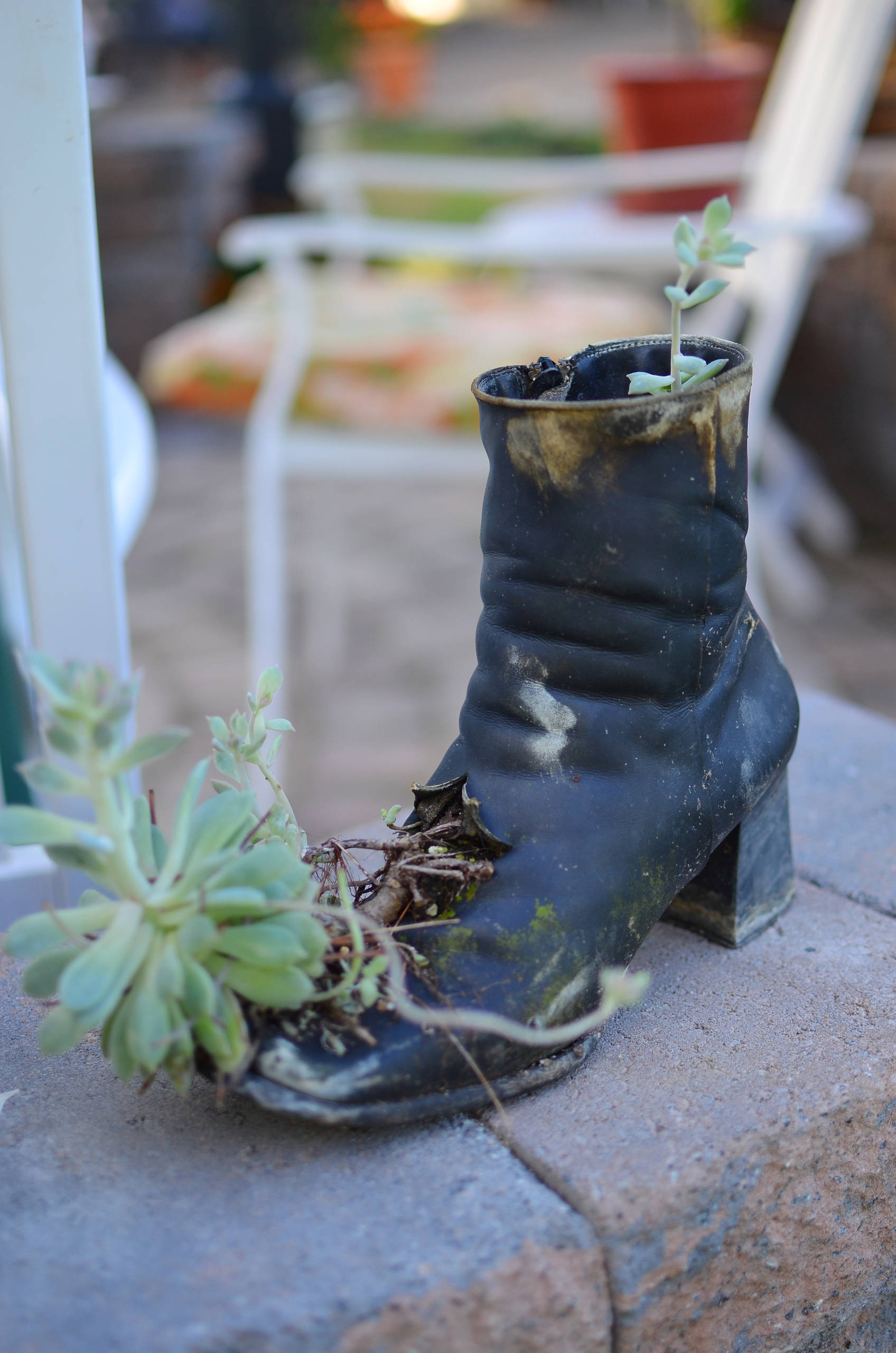 Что под руку попалось: Как не загубить растения в арт-кашпо