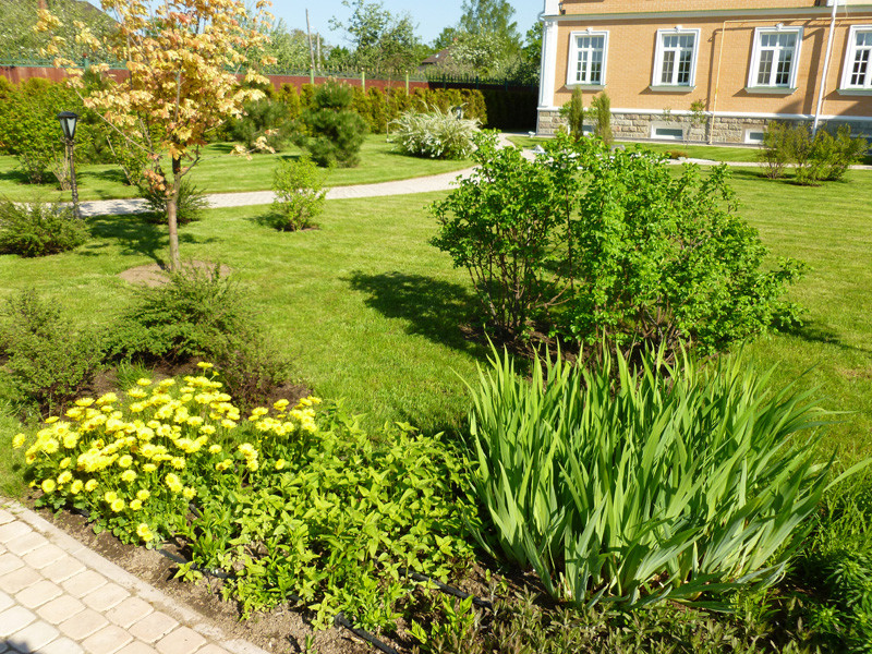 Озеленение