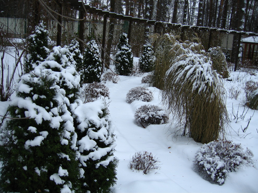 Готовимся к зиме: Последние приготовления в саду и в огороде