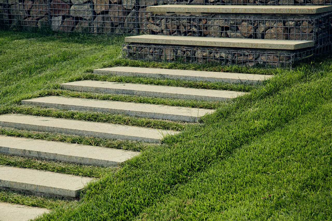 Карелия сад