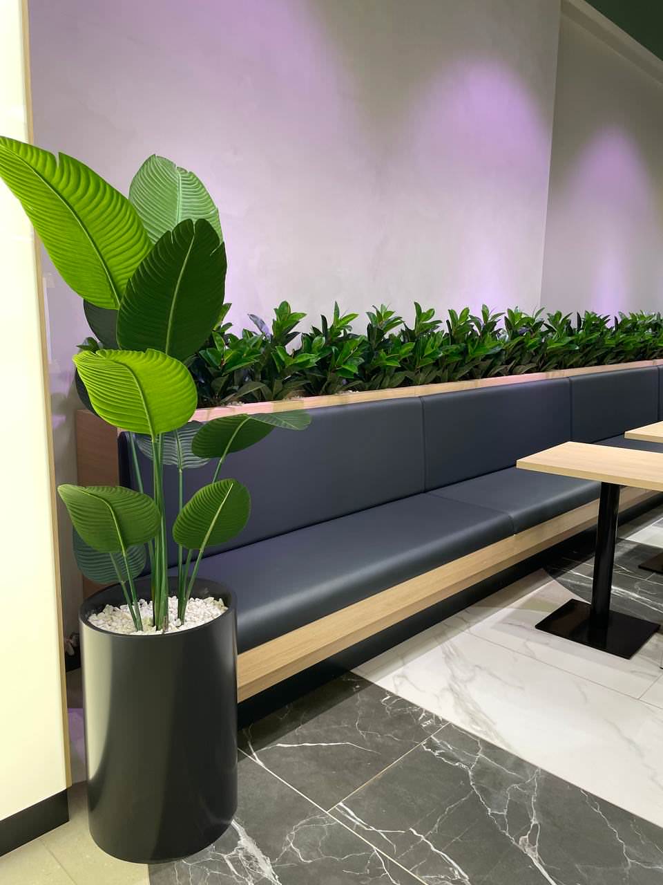 Фудкорт г.Санкт-Петербург