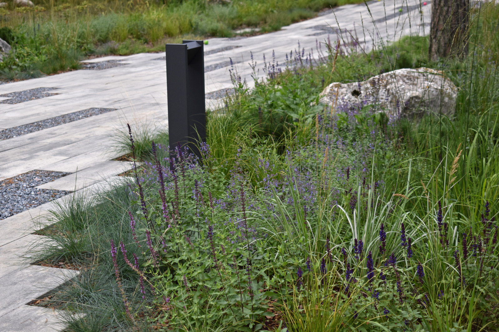 Проект "Волшебное озеро"