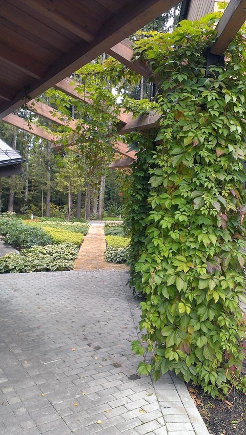 Малые архитектурные формы (МАФ)