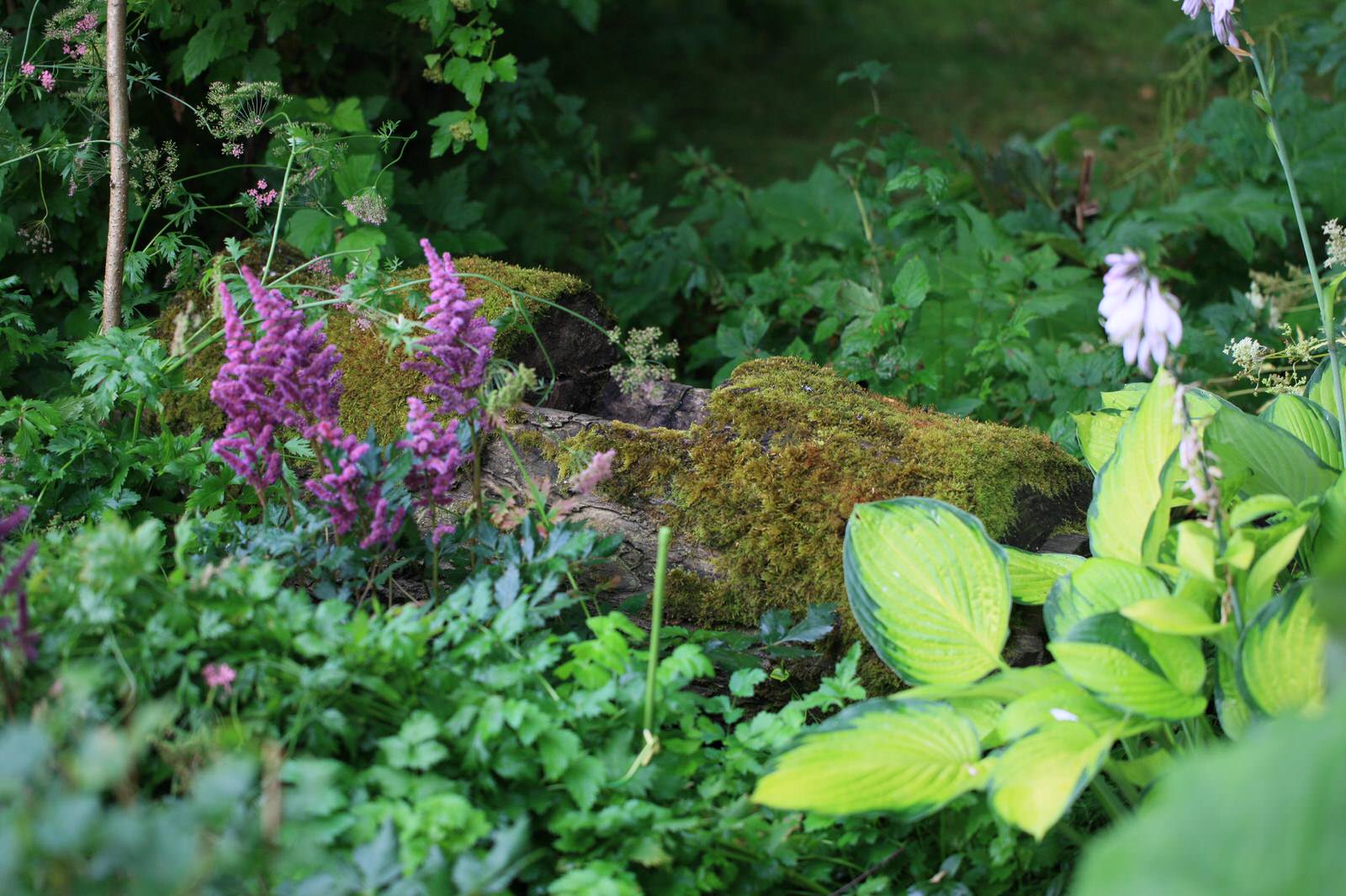 Бельгийская Деревня