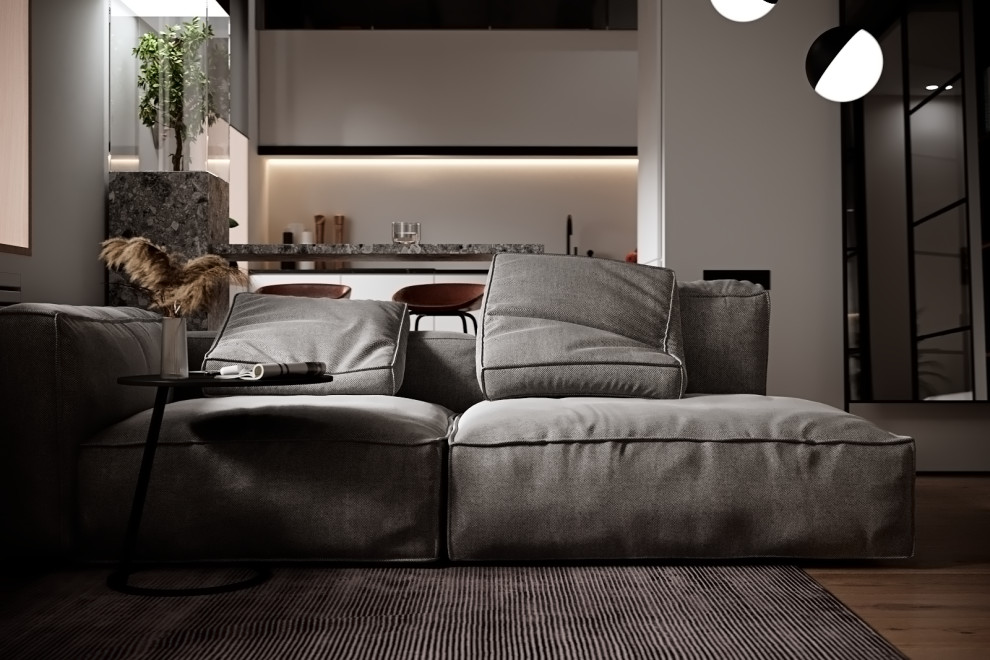 Minimalism Apartament