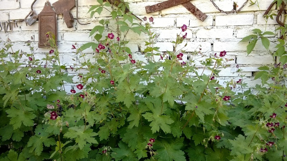 Русское Ретро