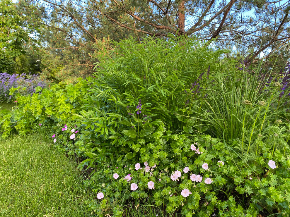 КП Пестово "Evergreen'