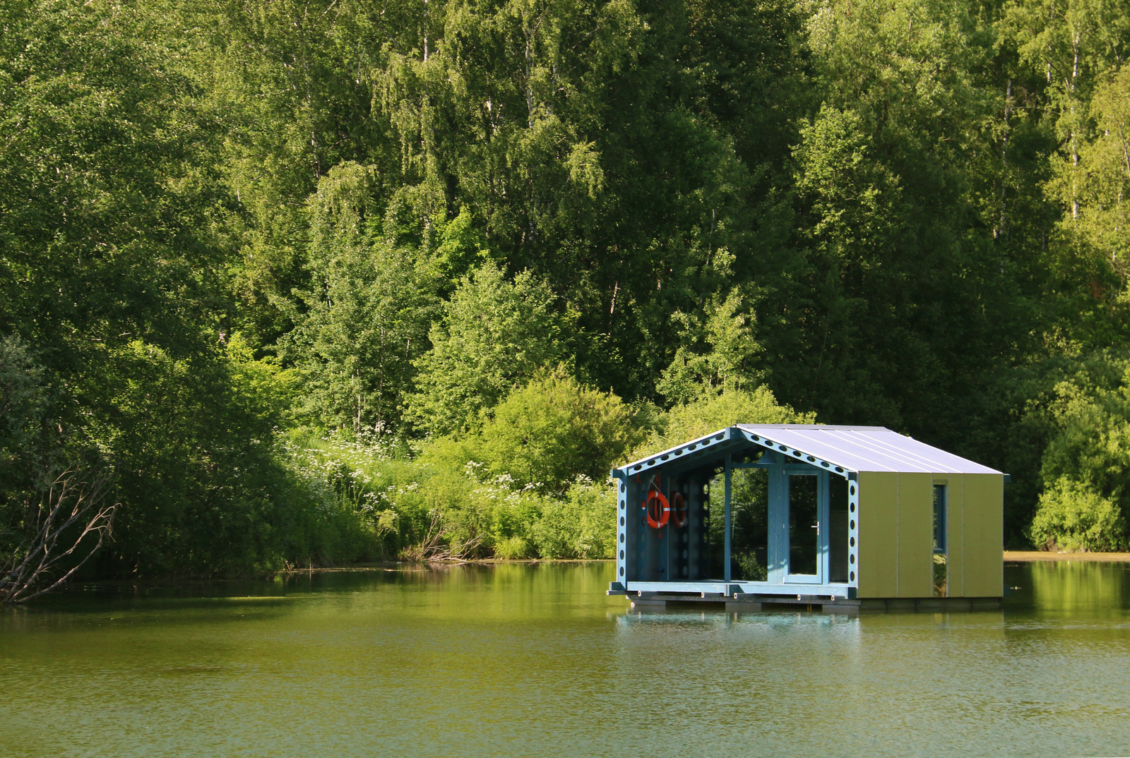 Прогулка на диване: Дома в глухом лесу