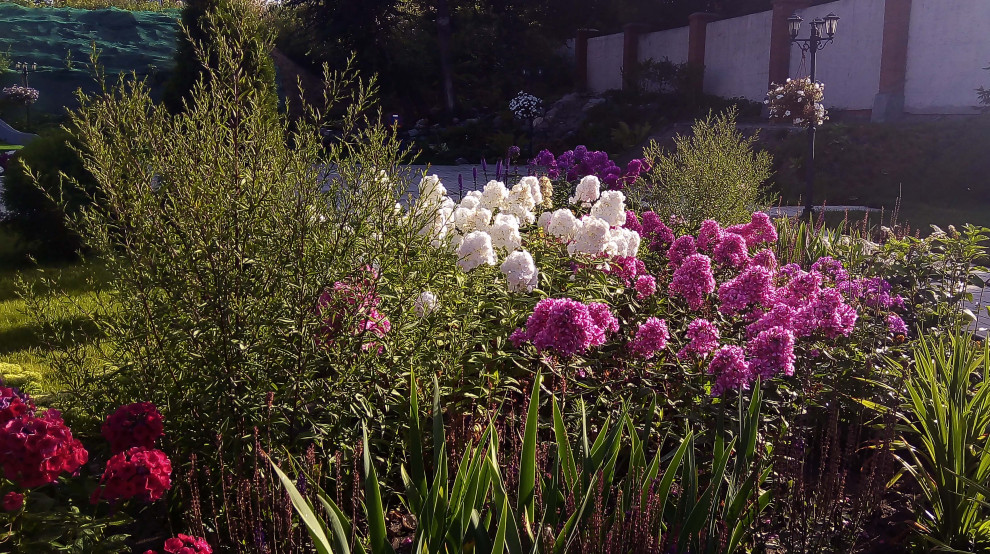 Цветники на территории храма