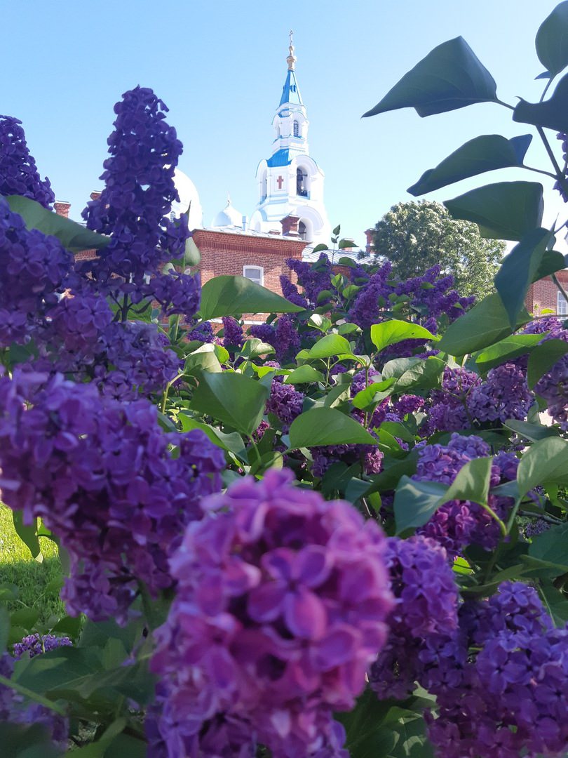 Валаам...Земля -загадка ..и большая наша любовь