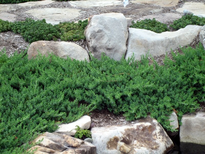 Как правильно: Альпийская горка своими руками