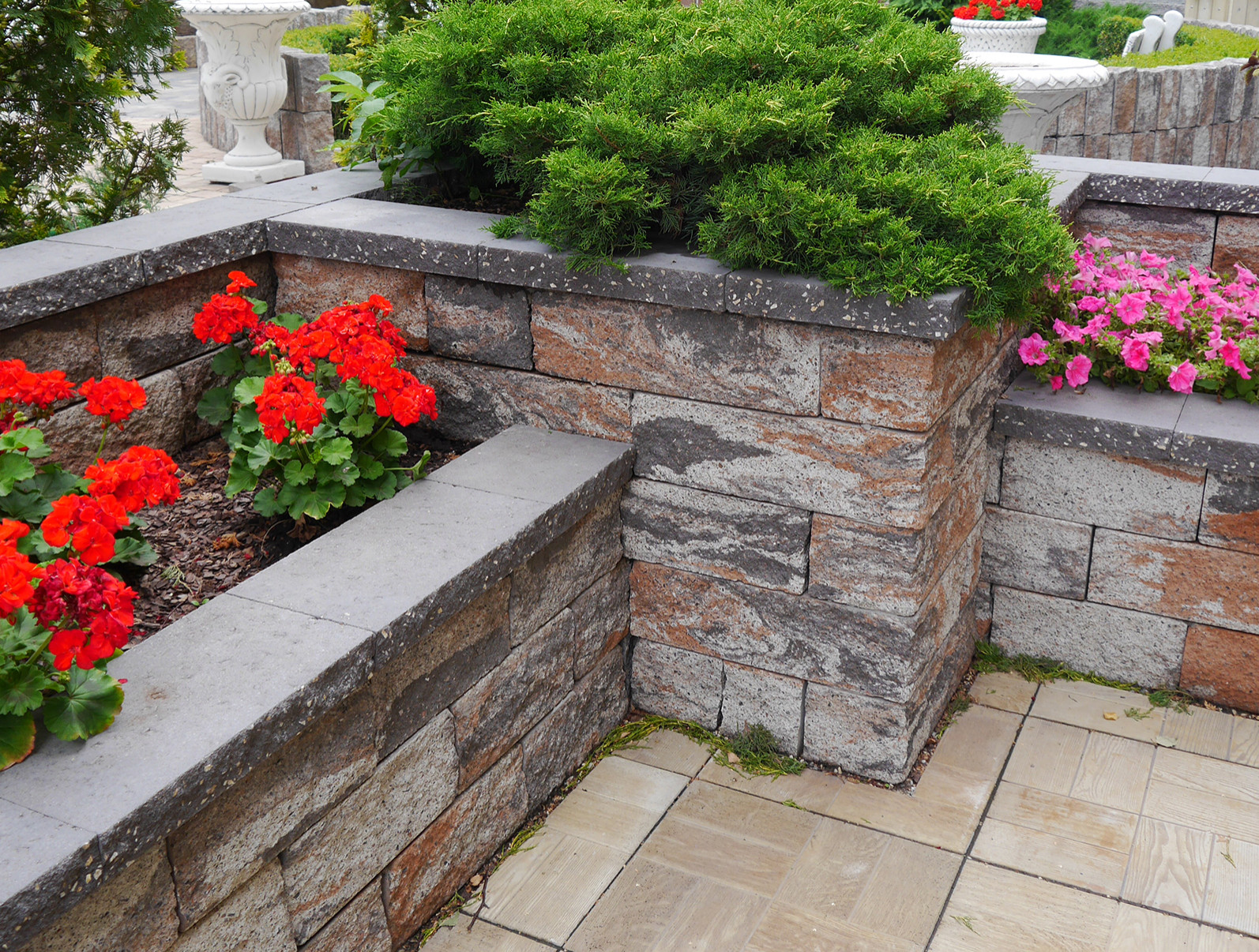 Продукция компании "Золотой мандарин"