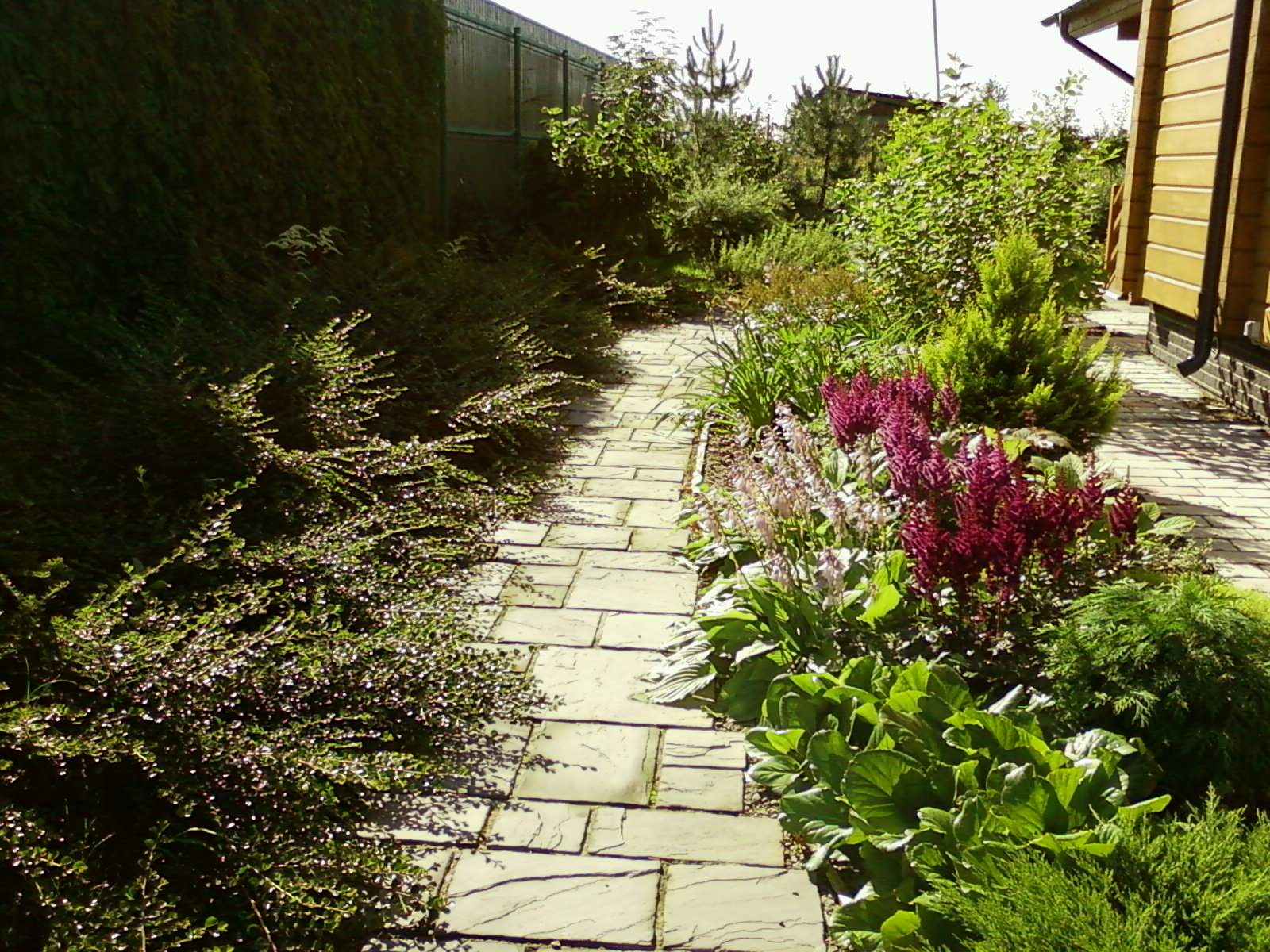 Обложка проекта: Участок на склоне