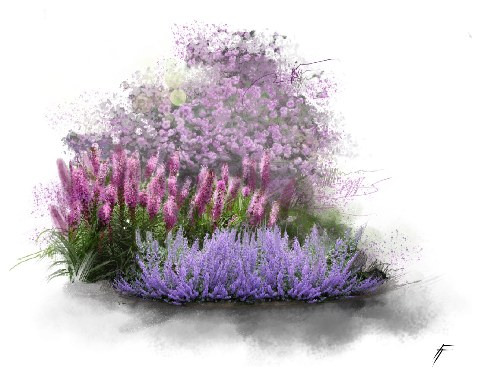 Обложка проекта: Проекты цветников