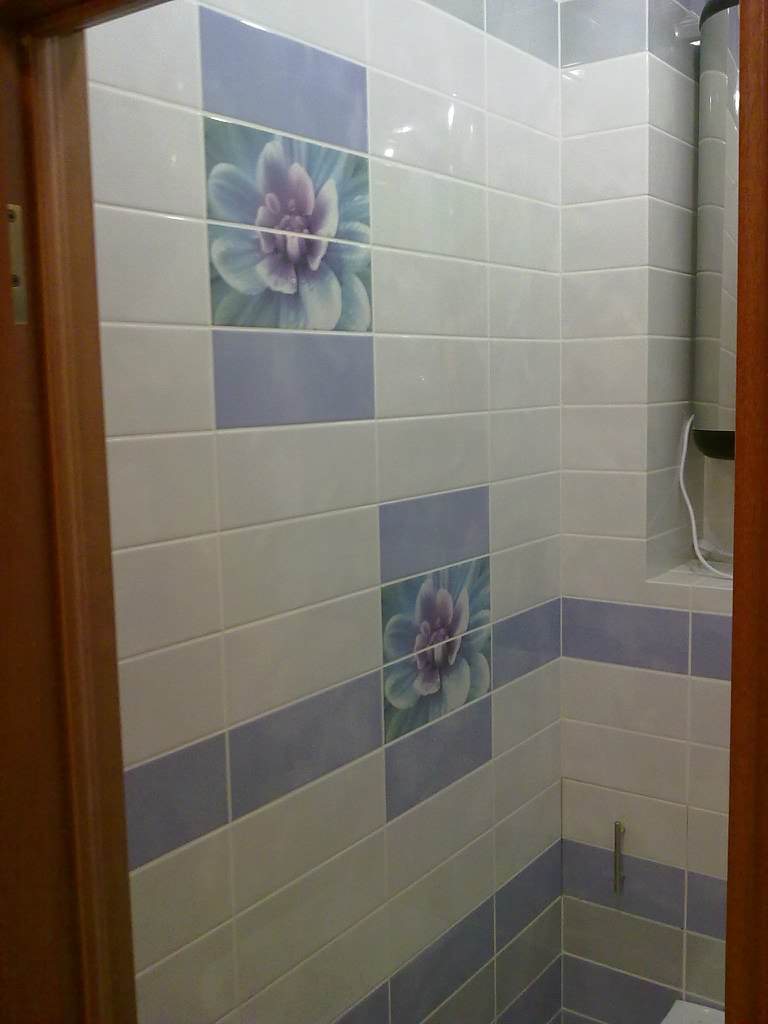 Обложка проекта: Ремонт санузла