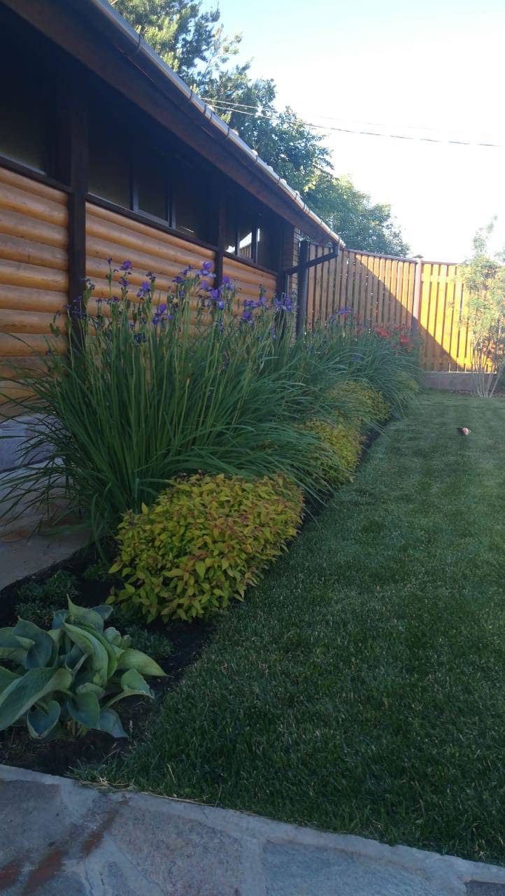 Минимализм в саду