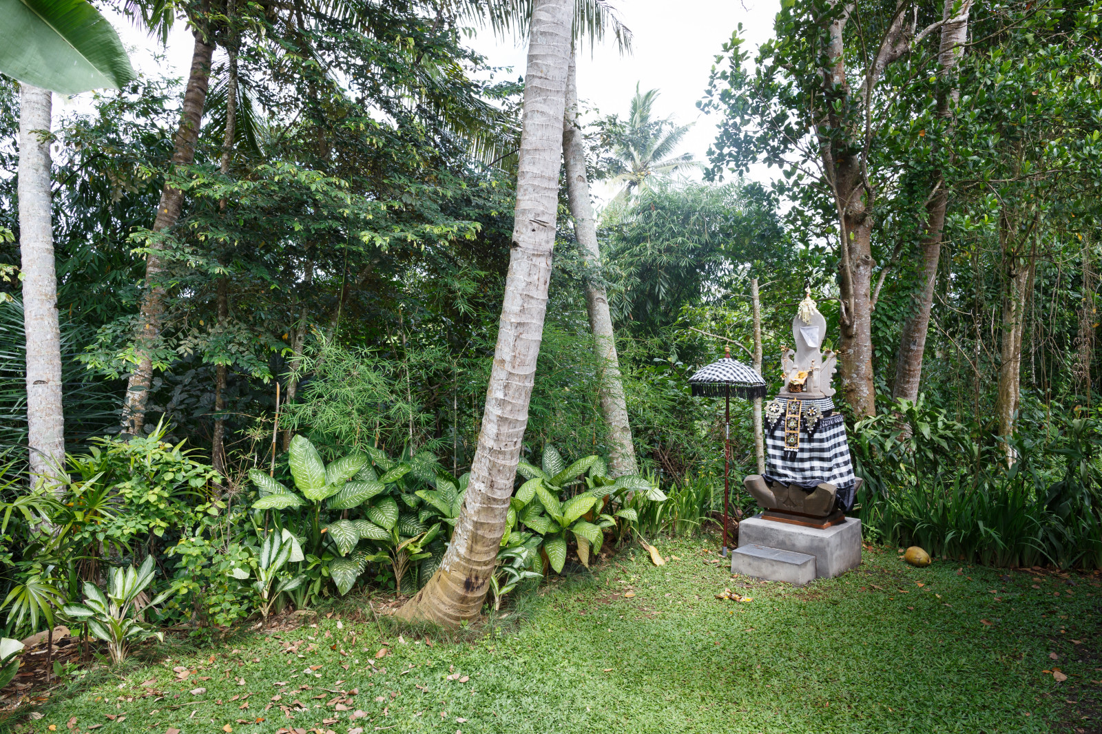 Вилла All Saints