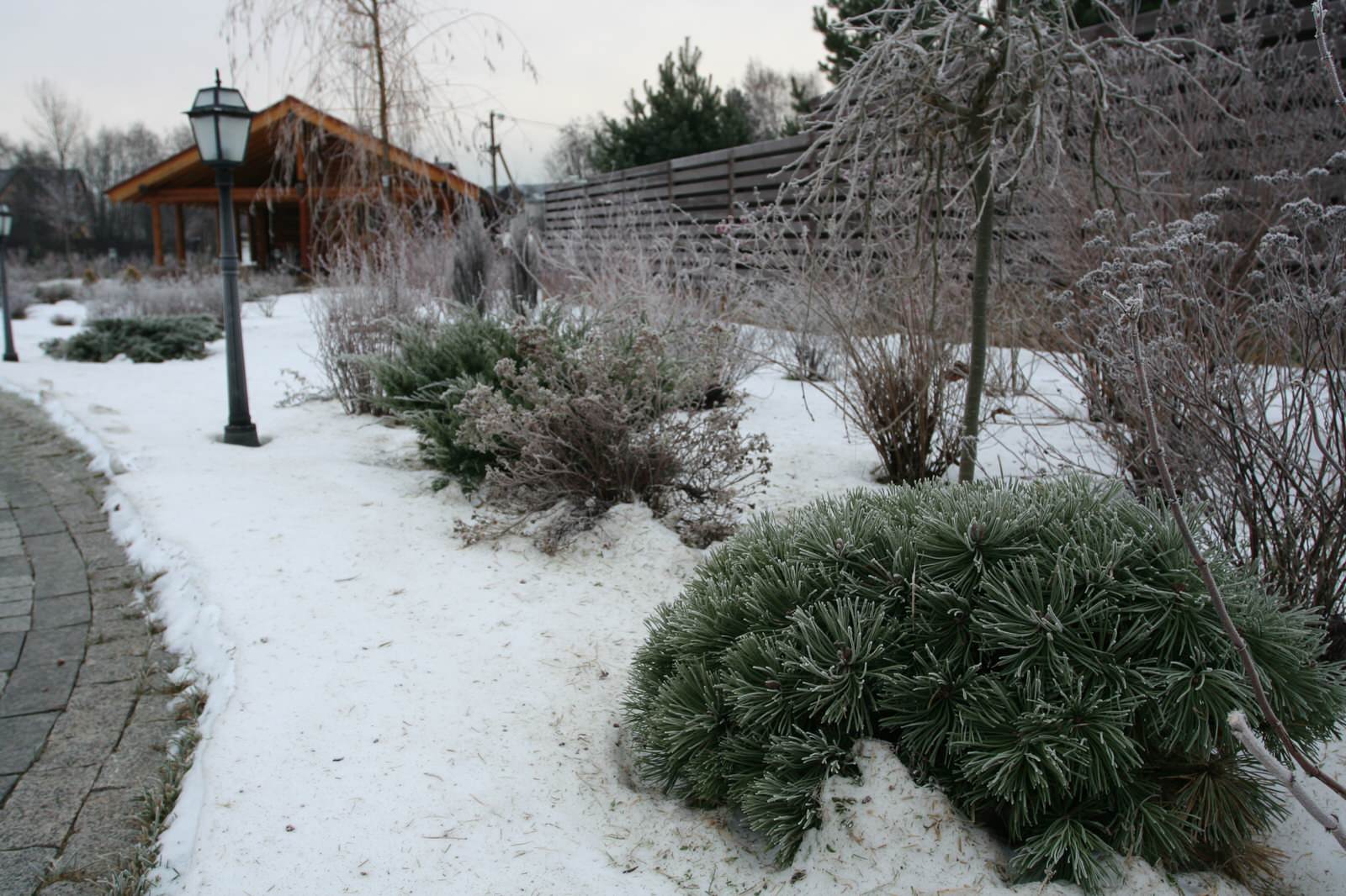 Репинские Усадьбы