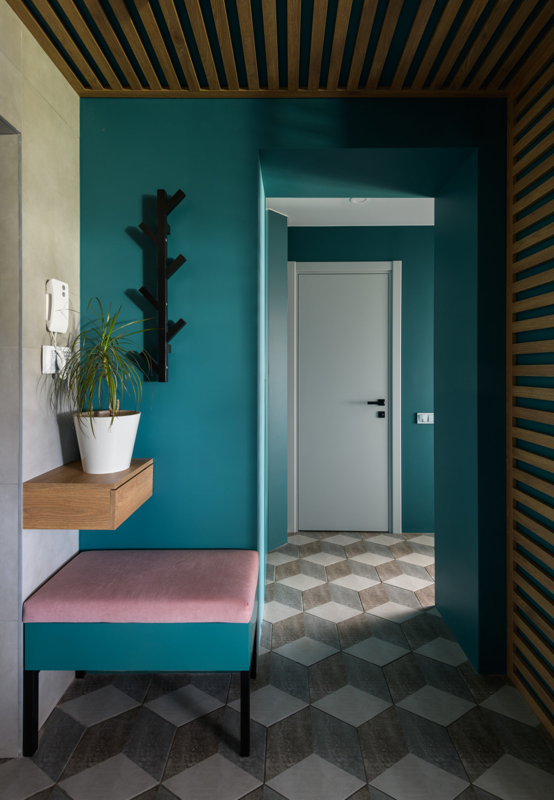 Жизнь в цвете