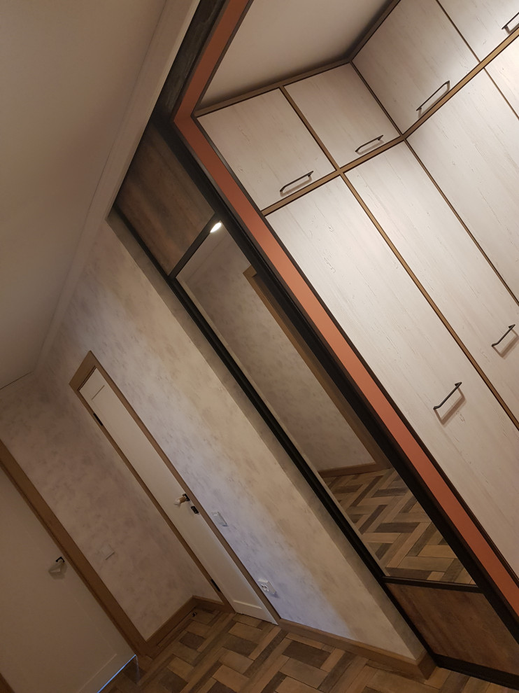 проект квартиры "Дикость_2020" прихожая и гардеробная