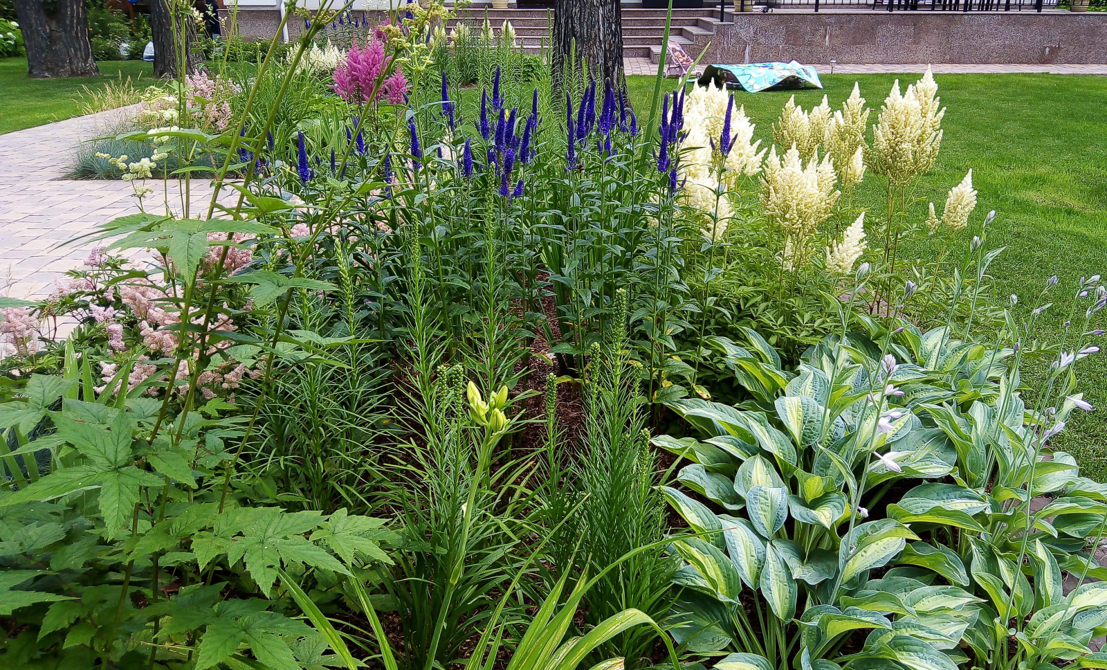 Цветники под пологом леса